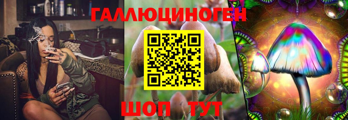 Галлюциногенные грибы Psilocybine cubensis  Псилоцибиновые грибы ЛСД  Вход с VPN  Кондопога 